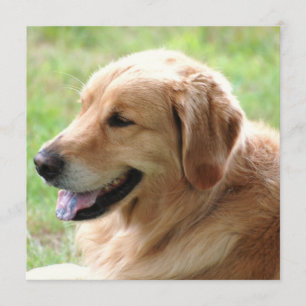 Invitations de chiot de golden retriever