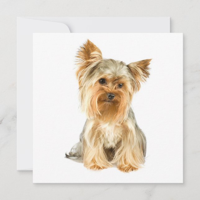 Invitations de chiot de Yorkie (Devant)