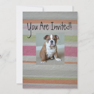 Invitations de chiots de Bulldog anglais