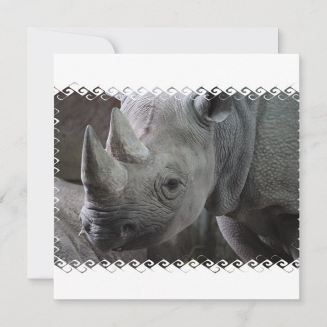 Invitations de faits Rhino (Devant)