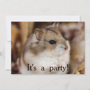 Invitations de la fête de Chibby