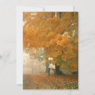 Invitations de messagerie du matin