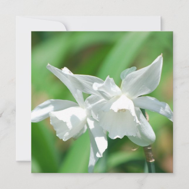 Invitations de petites boîtes de nuit de la coupe (Devant)