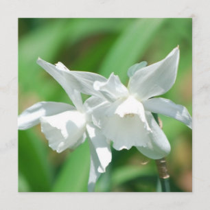 Invitations de petites boîtes de nuit de la coupe