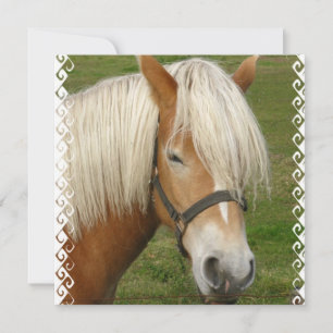 Invitations de poney de palomino