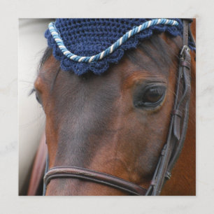 Invitations de profil de cheval
