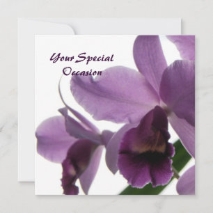 Invitations de toutes les occasions d'Orchidées