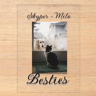 Invitations En Acrylique Amis animaux meilleures copines ajoutez nom photo