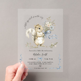 Invitations En Acrylique Baby Shower Écureuil Ruban Bleu Aquarelle