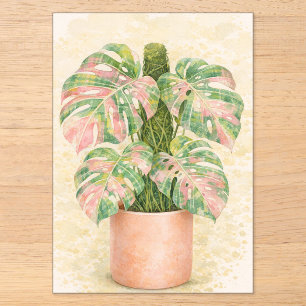 Invitations En Acrylique écossais tartan rose feuille de monstera d'Écosse