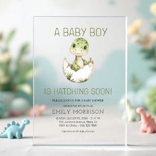 Invitations En Acrylique Fête de Naissance Bébé Garçon - Un Dinosaure Migno