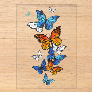 Invitations En Acrylique Papillons volants Morpho et Monarch