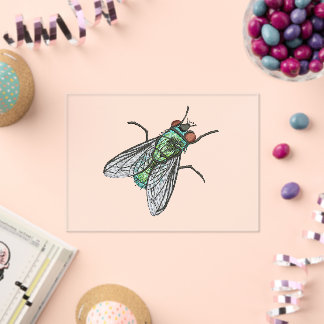 Invitations En Acrylique Realistic Green Bottle house Fly   