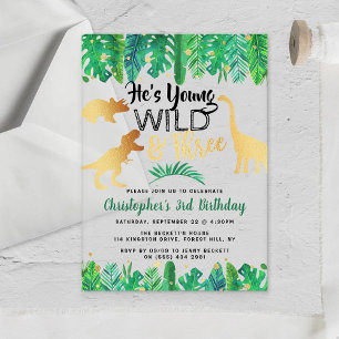 Invitations En Acrylique Young Wild & Three Dinosaur Boys 3e anniversaire