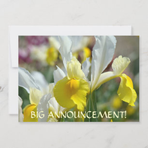 INVITATIONS Grande Annonce ! IRIS FLEURS