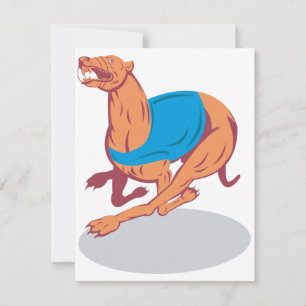 Invitations Greyhound Racing