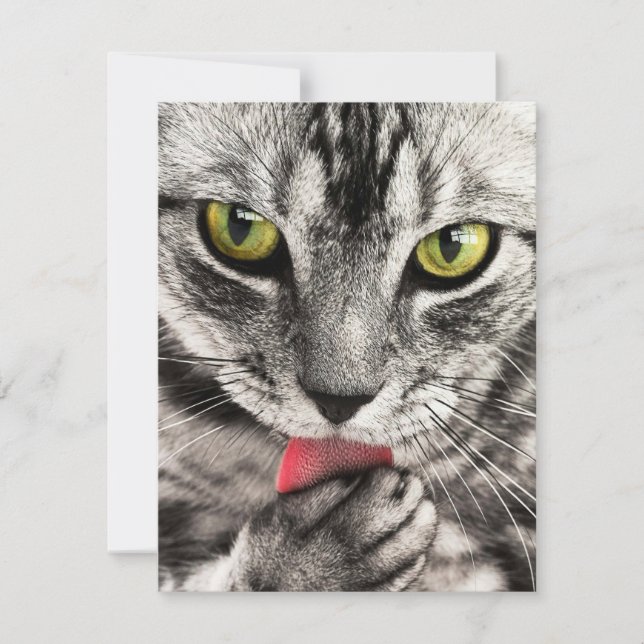 Invitations Papeterie Cartes de voeux (Devant)