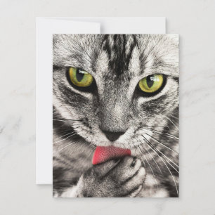 Invitations Papeterie Cartes de voeux