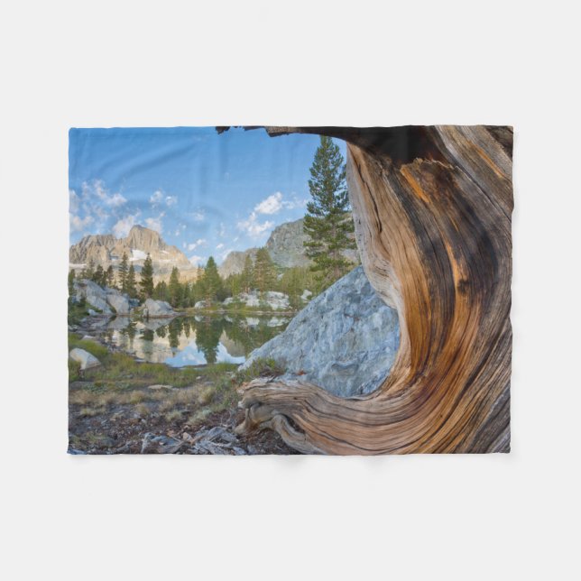 Inyo National Forest, Kalifornien Fleecedecke (Vorderseite (Horizontal))