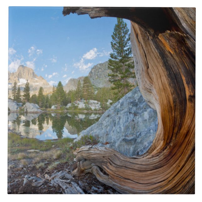Inyo National Forest, Kalifornien Fliese (Vorderseite)