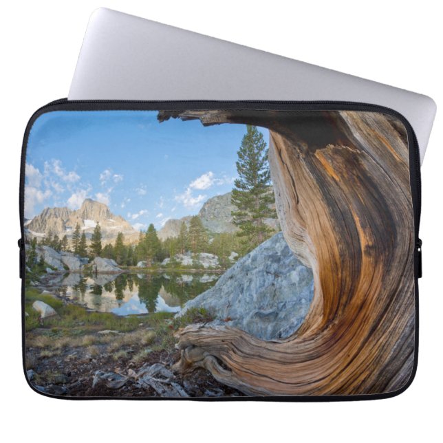 Inyo National Forest, Kalifornien Laptopschutzhülle (Vorderseite)