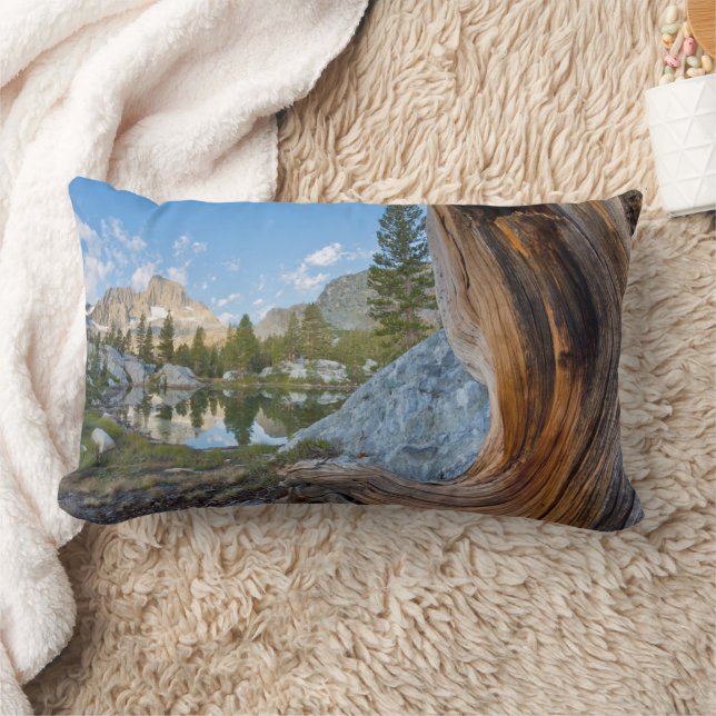 Inyo National Forest, Kalifornien Lendenkissen (Decke)