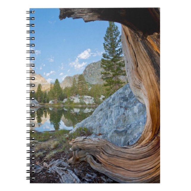 Inyo National Forest, Kalifornien Notizblock (Vorderseite)