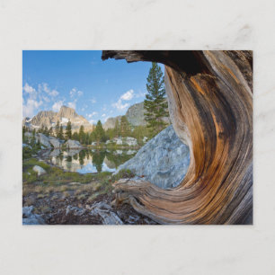 Inyo National Forest, Kalifornien Postkarte