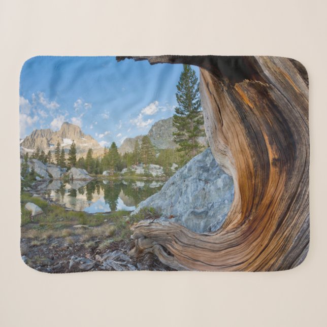Inyo National Forest, Kalifornien Sherpadecke (Vorderseite (Horizontal))