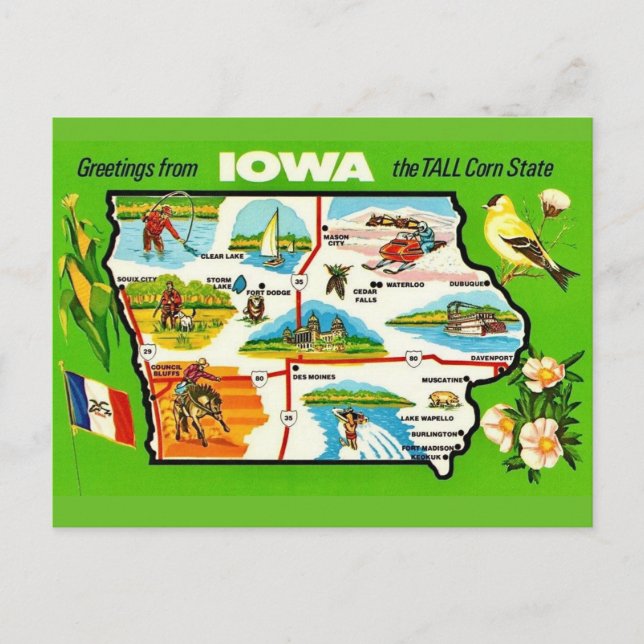 Iowa - Carte postale Tall Corn State (Devant)