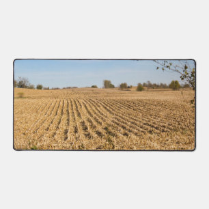 Iowa Cornfield Naturlandschaft Panorama Fotografie Schreibtischunterlage