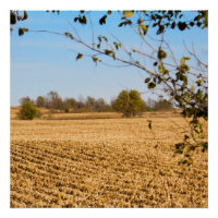 Iowa Cornfield Panorama Foto v3