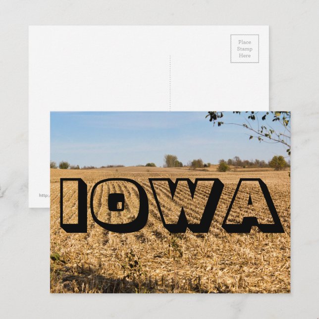 IOWA Cornfield Panorama Panoramaaussicht Foto Postkarte (Vorne/Hinten)