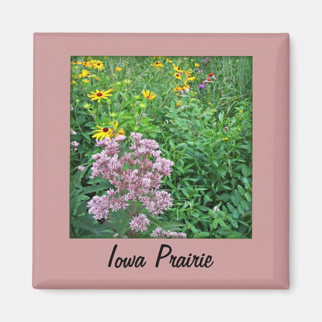 Iowa Prairie Magnet (Vorne)