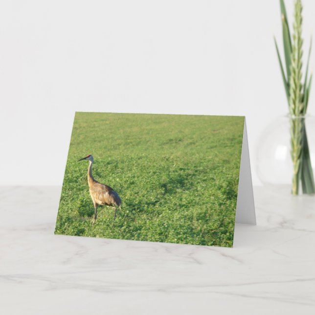 Iowa Sandhill Crane Karte (Vorderseite)
