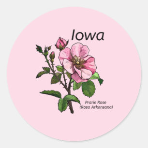 Iowa Staat Blume Sticker