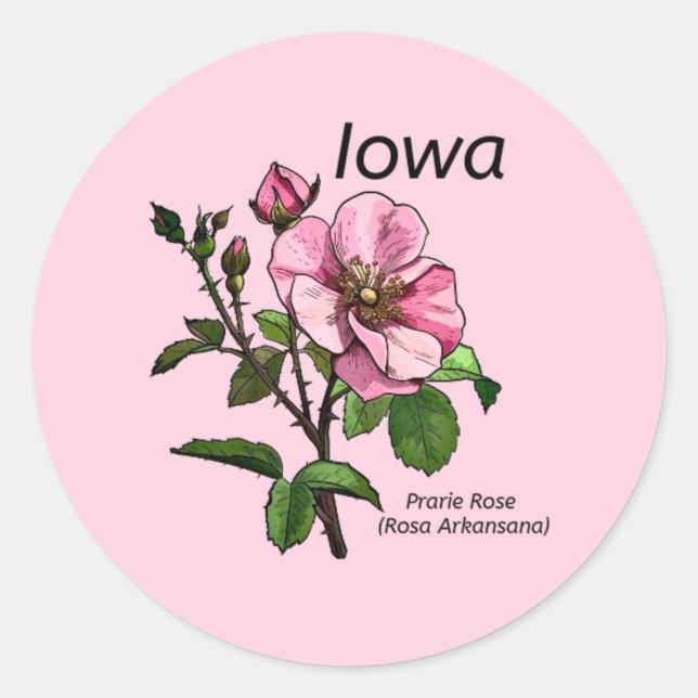 Iowa Staat Blume Sticker (Vorderseite)