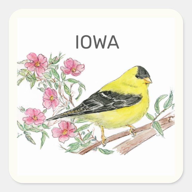 Iowa Staat Vogel und Blume Quadratischer Aufkleber (Vorderseite)