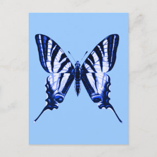 Iphiclides podalirius Postkarte