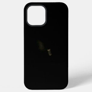 iPhone 12 Pro Max Hülle
