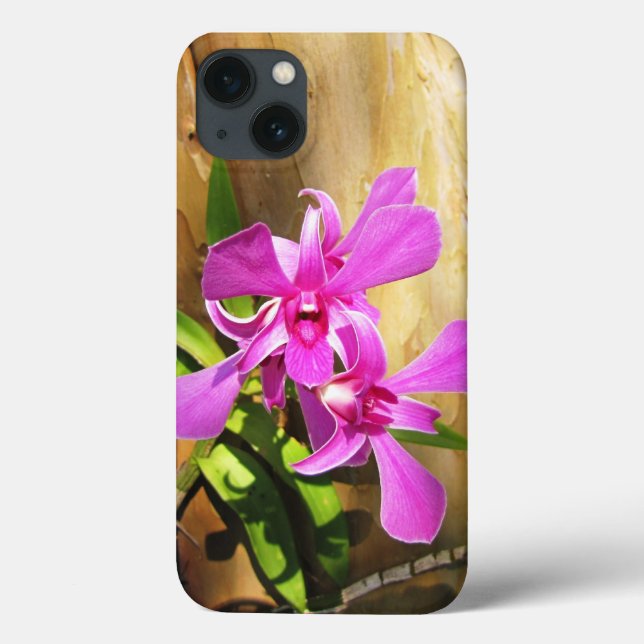 iPhone 13 Coque Orchidées roses (Verso)