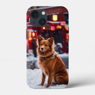 iPhone 13 Hülle
