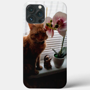 IPhone 13 Pro Max Hüllen für Katzenliebhaber