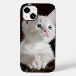 iPhone 14 Hüllen Katz Liebe