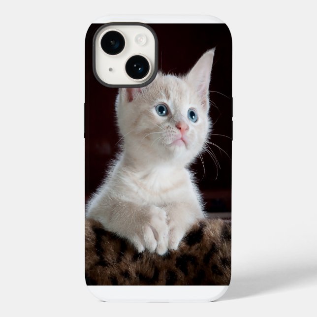iPhone 14 Hüllen Katz Liebe (Rückseite)