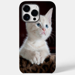 iphone 14 Hüllen pro max cat Liebe