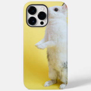 iPhone 14 Kaninchen Hüllen