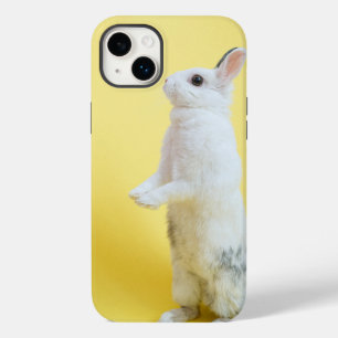iPhone 14 Kaninchen Hüllen plus