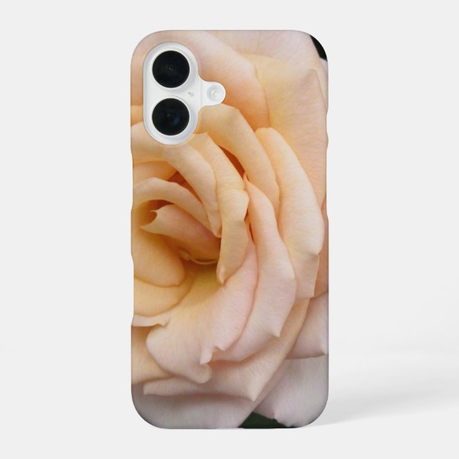 iPhone 16 Floral Blackberry audacieux coque avec Rose romant (Verso)