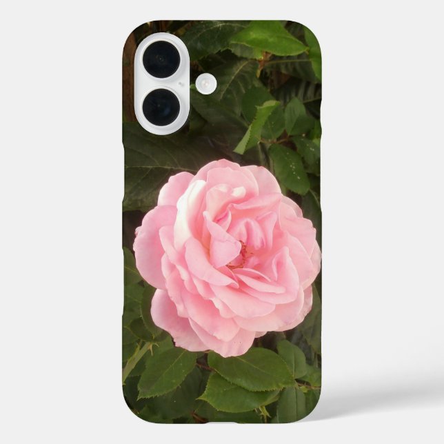 iPhone 16-Hülle 16 Hülle (Rückseite)